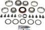 Dorman OE Solutions Ring And Pinion Bearing Installation Kit