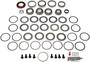Dorman OE Solutions Ring And Pinion Bearing Installation Kit