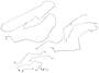 Dorman OE Solutions Brake Line Kit