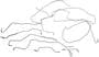 Dorman OE Solutions Brake Line Kit