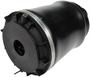 Dorman OE Solutions Air Suspension Spring