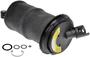 Dorman OE Solutions Air Suspension Spring