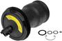 Dorman OE Solutions Air Suspension Spring