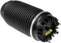 Dorman OE Solutions Air Suspension Spring