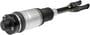 Dorman OE Solutions Air Strut Assembly