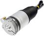 Dorman OE Solutions Air Strut