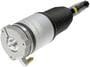Dorman OE Solutions Air Strut