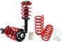 Dorman OE Solutions Air Suspension Conversion Kit