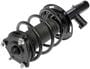 Dorman OE Solutions Shock Absorber