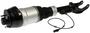 Dorman OE Solutions Air Strut Assembly