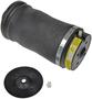 Dorman OE Solutions Air Suspension Spring