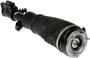 Dorman OE Solutions Air Strut Assembly