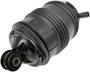 Dorman OE Solutions Air Suspension Spring