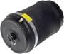Dorman OE Solutions Air Suspension Spring