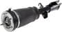 Dorman OE Solutions Air Strut Assembly