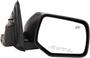 Dorman Door Mirror Assembly