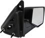 Dorman Door Mirror Assembly