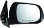Dorman Door Mirror Assembly