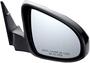 Dorman Door Mirror