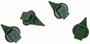 Dorman Molding Retainer