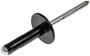 Dorman Multi-Purpose Rivets