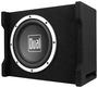 Dual Audio 10 Inch Speaker