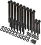 Earl's Performance M8-1.25, M11-2.0 Thread Hex Head Bolt Set