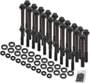 Earl's Performance M8-1.25, M11-2.0 Thread Hex Head Bolt Set