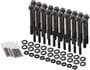 Earl's Performance M8-1.25, M11-2.0 Thread 12-Point Head Bolt Set