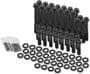 Earl's Performance 7/16-14 Inch Thread 12-Point Head Bolt Set