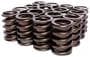 Edelbrock Sure Seat Valve Spring