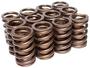 Edelbrock Sure Seat Valve Spring Kit