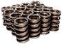 Edelbrock Sure Seat Valve Spring