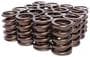 Edelbrock Sure Seat Valve Spring