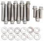 Edelbrock Performer Series Intake Manifold Bolt Set