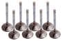 Edelbrock Exhaust Valve