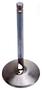 Edelbrock Intake Valve