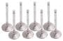 Edelbrock Exhaust Valve