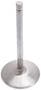 Edelbrock Intake Valve
