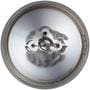 EiKO Clear Bulb