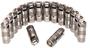 Elgin Valve Lifter