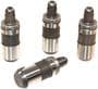 Elgin Valve Lifter