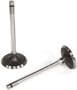 Elgin Intake Valve