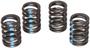 Elgin Valve Spring