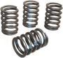 Elgin Valve Spring