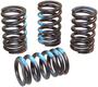Elgin Valve Spring
