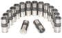 Elgin Valve Lifter