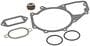 Elring Water Pump Gasket Set