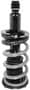 Encore Automotive Strut And Coil Spring