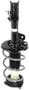 Encore Automotive Strut And Coil Spring